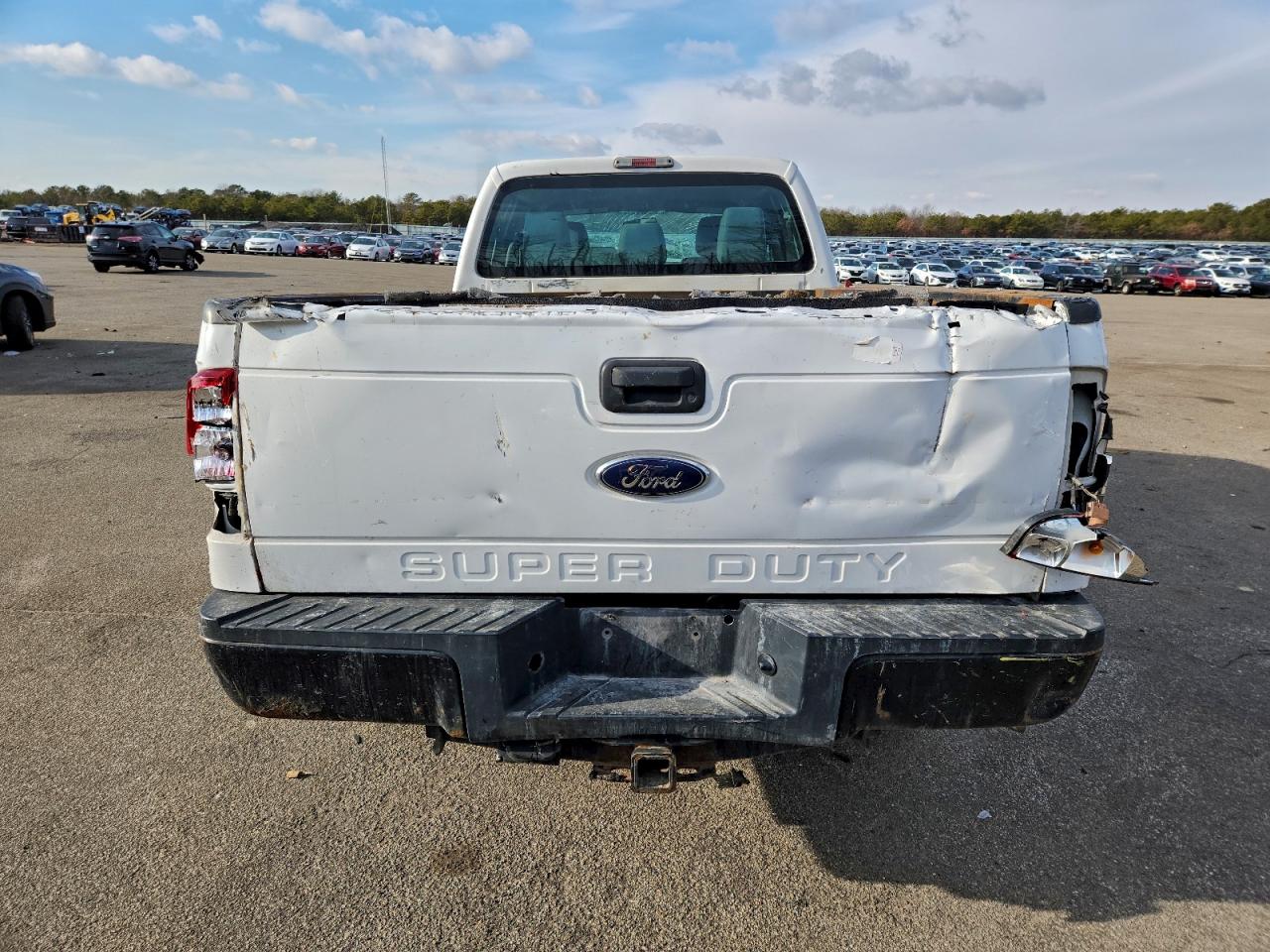 2015 FORD F250 SUPER DUTY photo 11