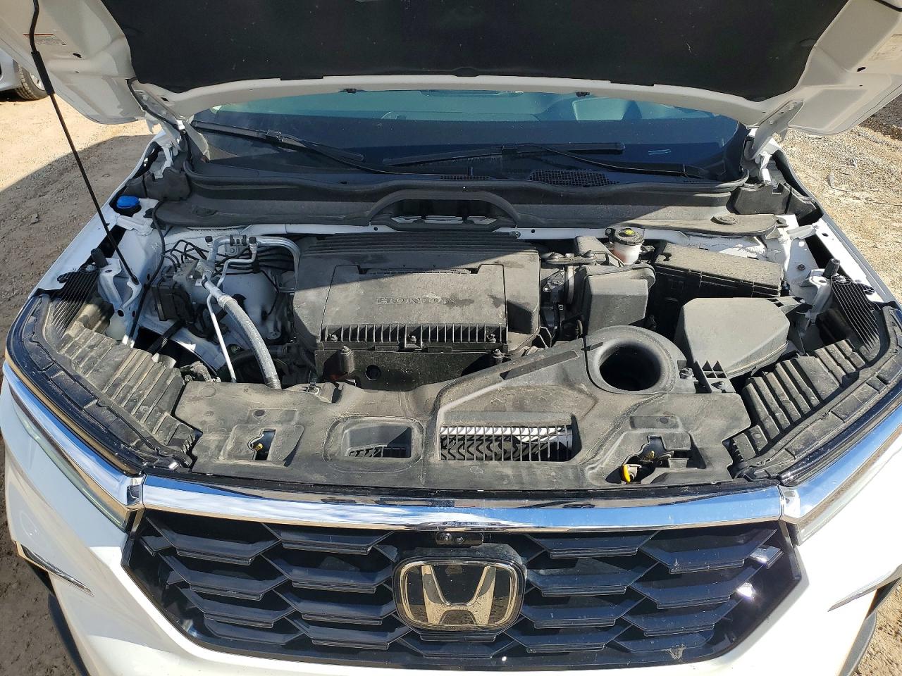 2025 HONDA PILOT ELITE photo 12