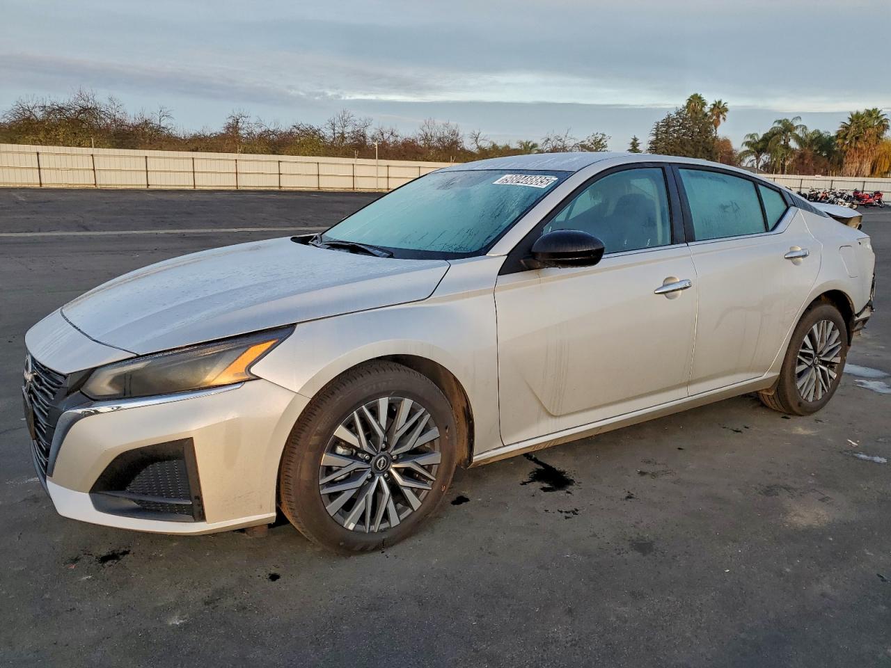 2025 NISSAN ALTIMA