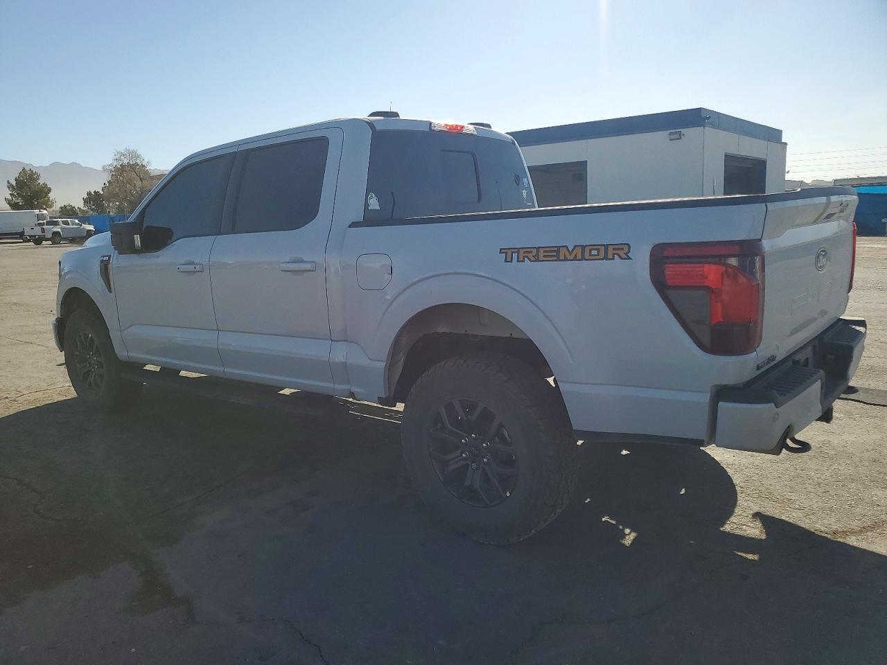 2025 FORD F150 TREMOR photo 3