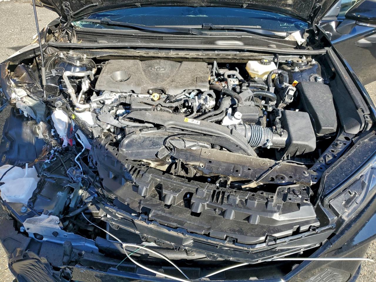 2025 TOYOTA CAMRY LE photo 11
