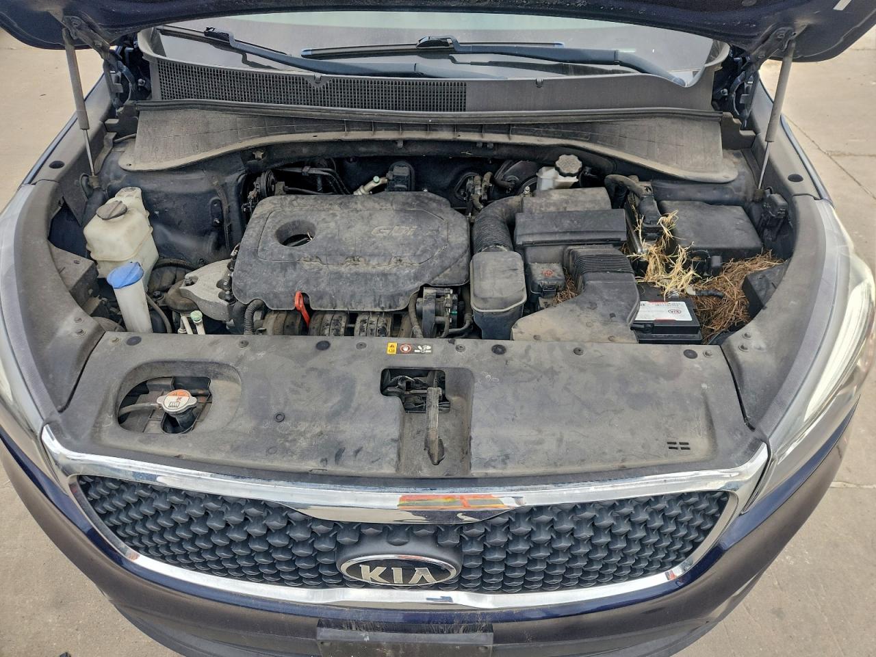 2016 KIA SORENTO LX photo 11