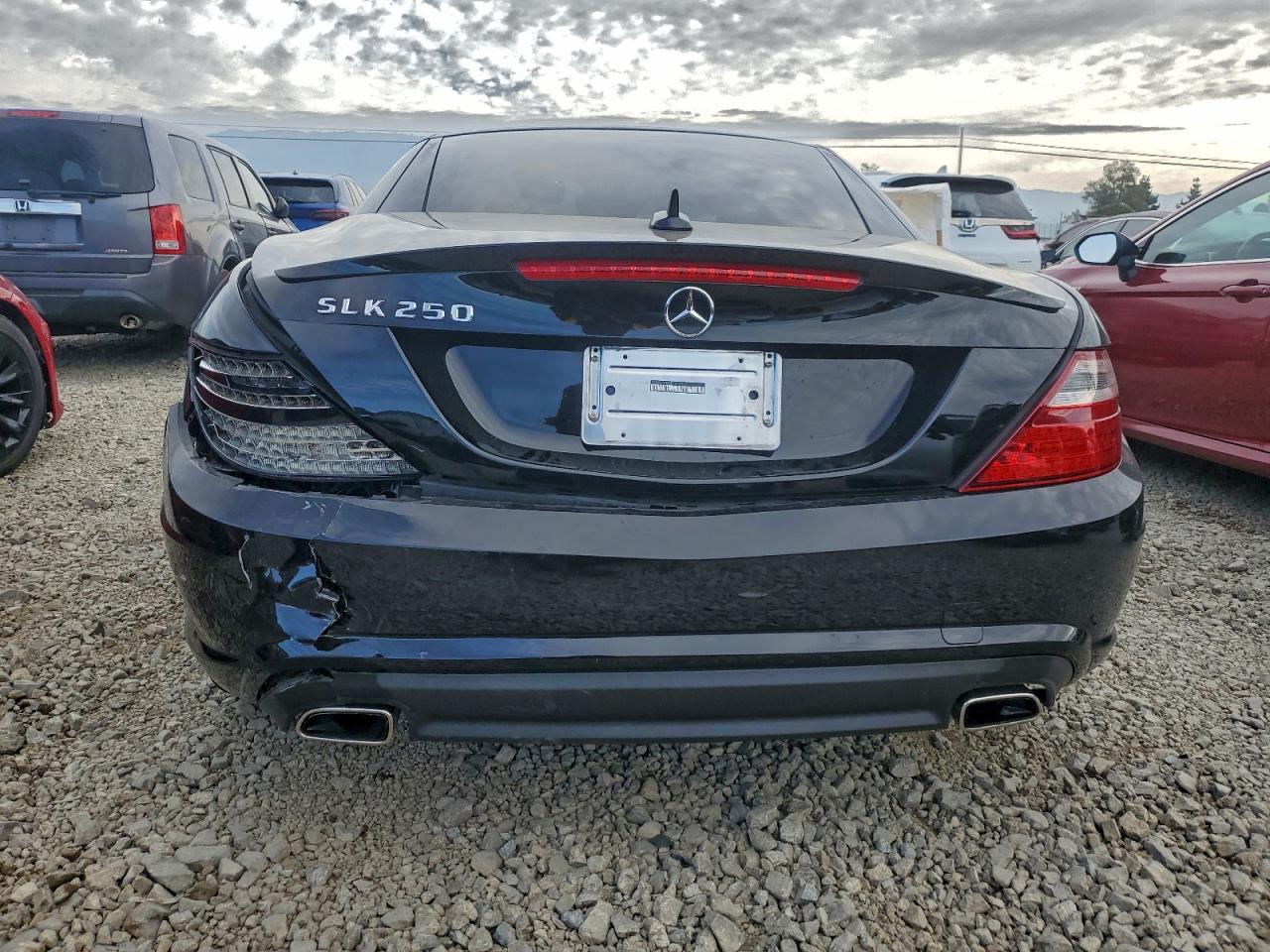 2014 MERCEDES-BENZ SLK 250 photo 11