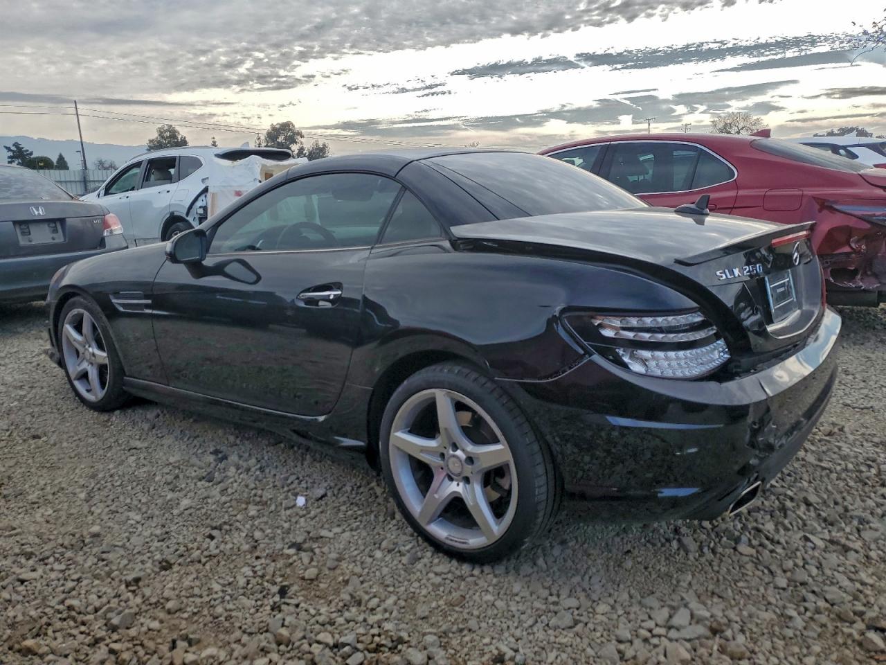 2014 MERCEDES-BENZ SLK 250 photo 3