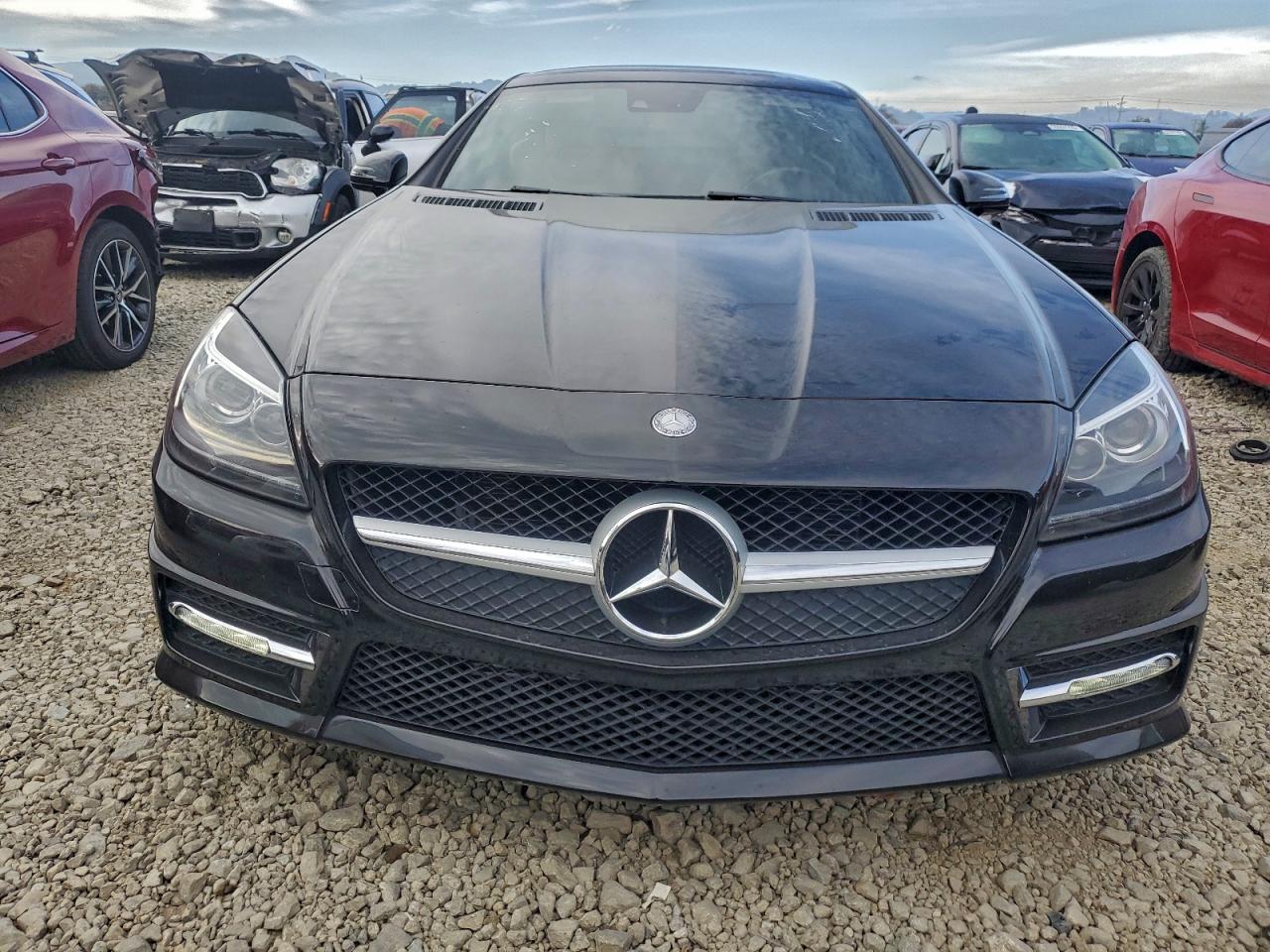 2014 MERCEDES-BENZ SLK 250 photo 9