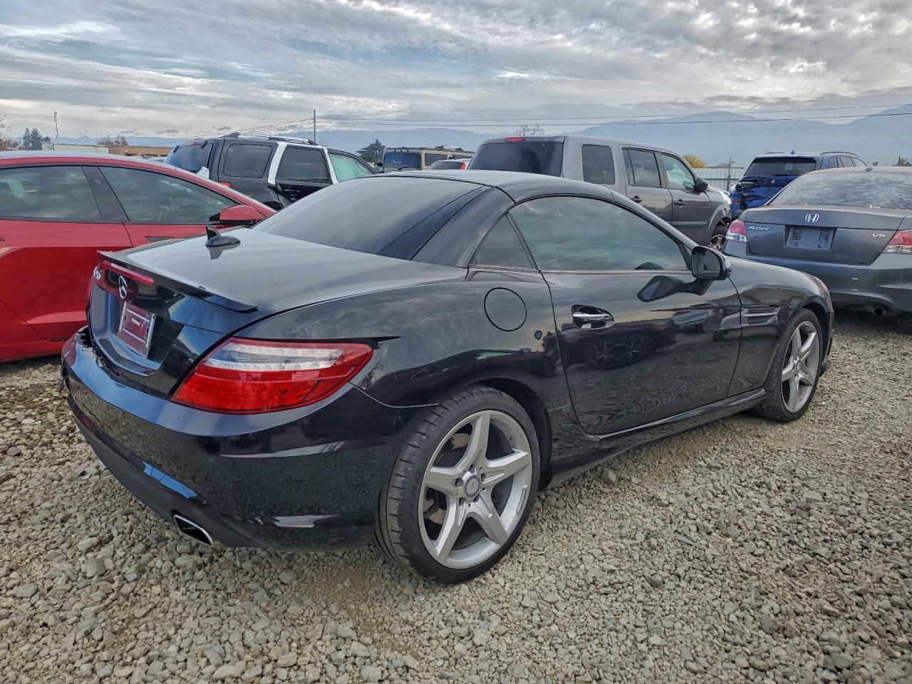 2014 MERCEDES-BENZ SLK 250 photo 5