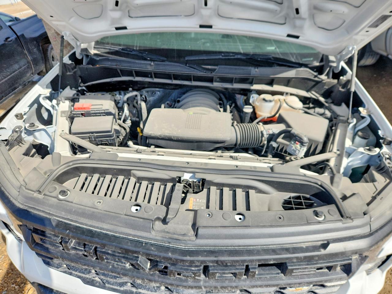 2024 CHEVROLET SILVERADO K1500 PPV photo 11