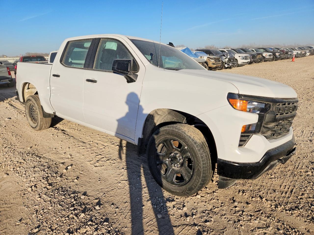 2024 CHEVROLET SILVERADO K1500 PPV photo 4