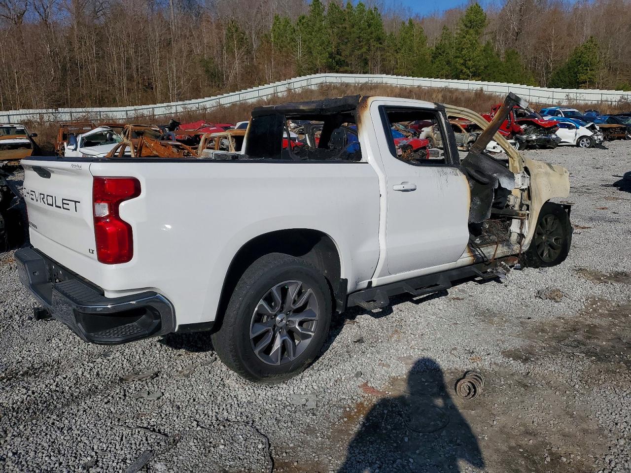 2019 CHEVROLET SILVERADO K1500 LT photo 3