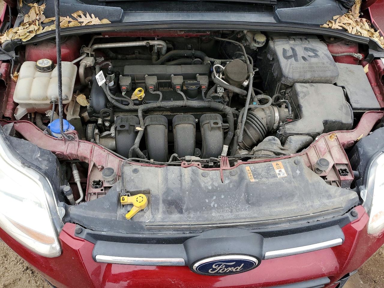 2014 FORD FOCUS SE photo 11