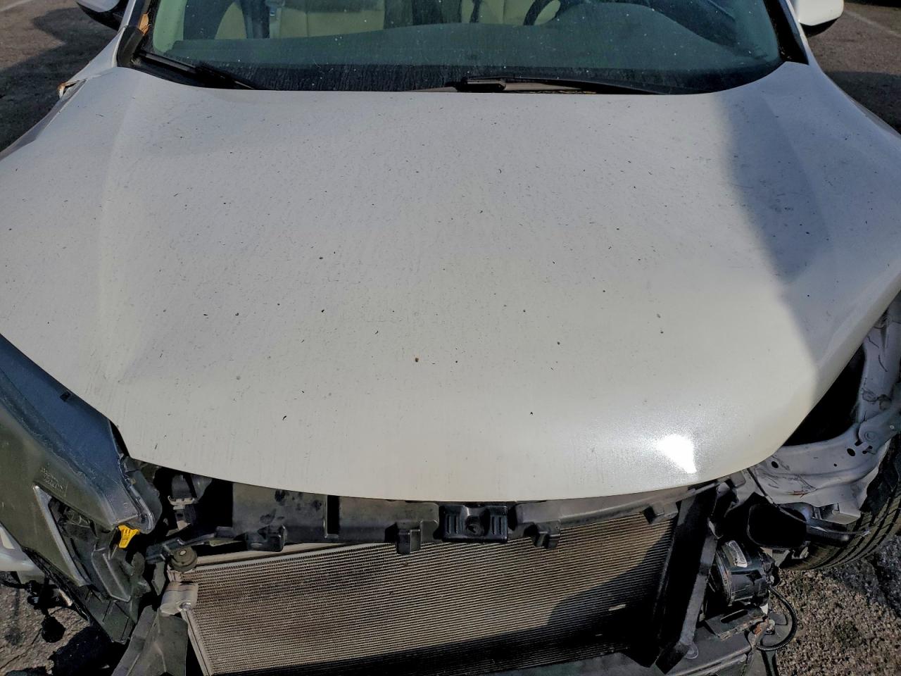 2014 HONDA CR-V EX photo 11