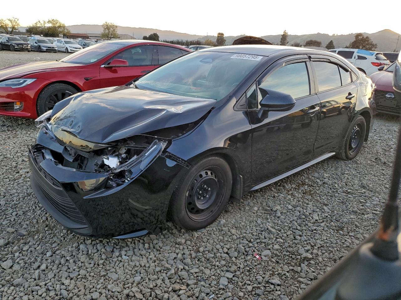2024 TOYOTA COROLLA