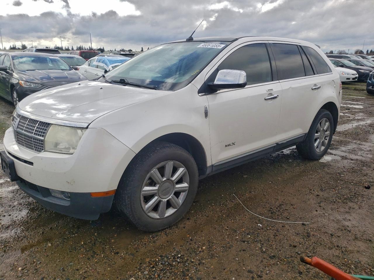 2009 LINCOLN MKX