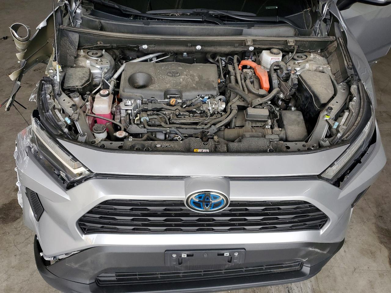 2024 TOYOTA RAV4 LE photo 12