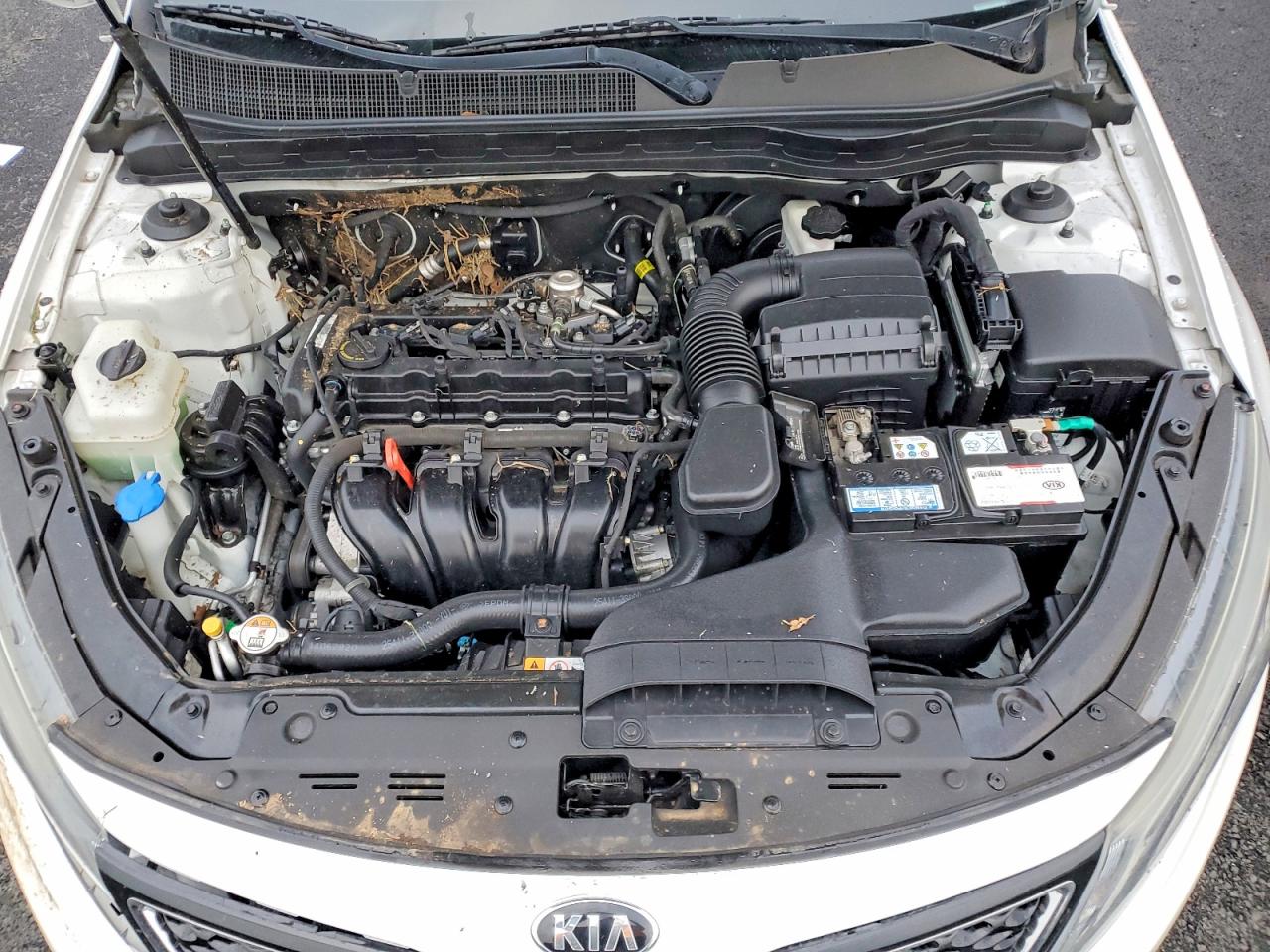 2015 KIA OPTIMA EX photo 11