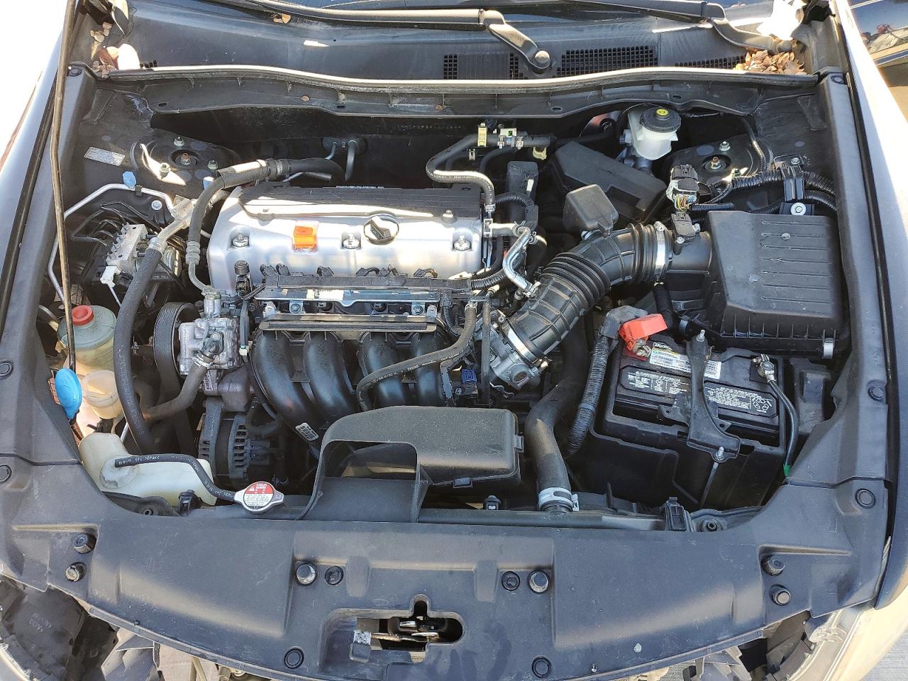 2010 HONDA ACCORD LX photo 11