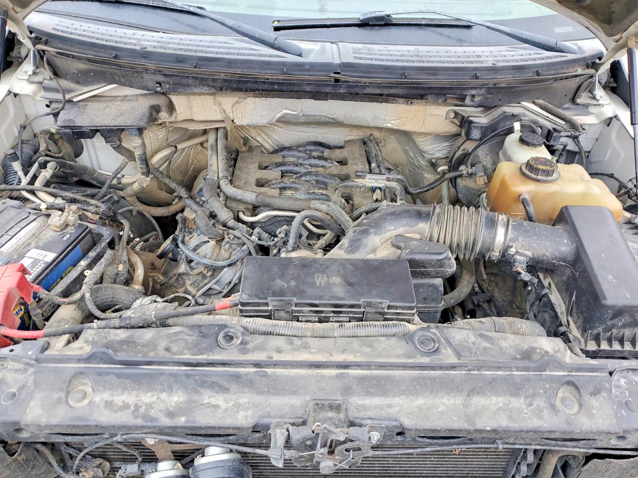 2011 FORD F150 SUPERCREW photo 11