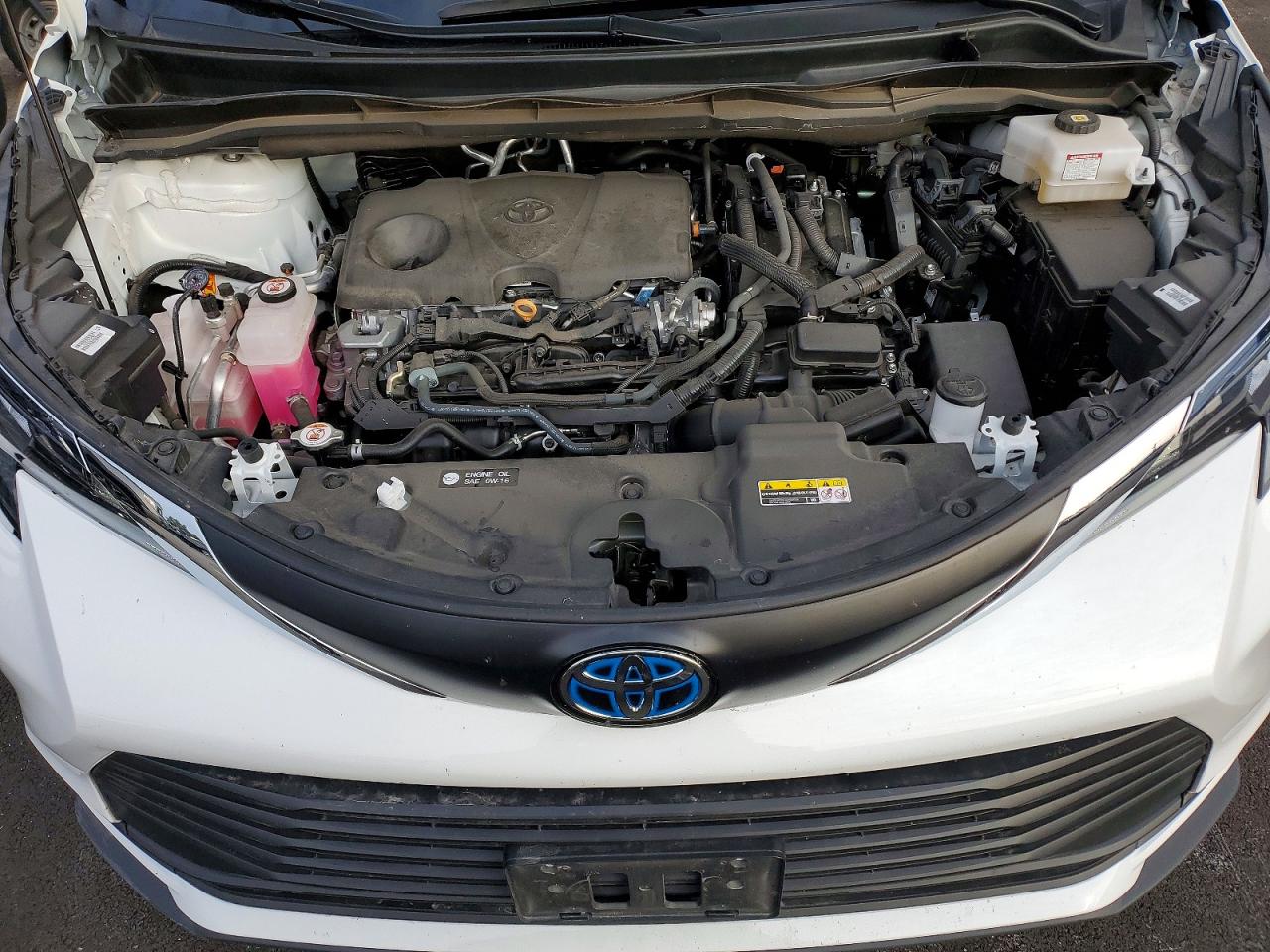 2025 TOYOTA SIENNA LE photo 12