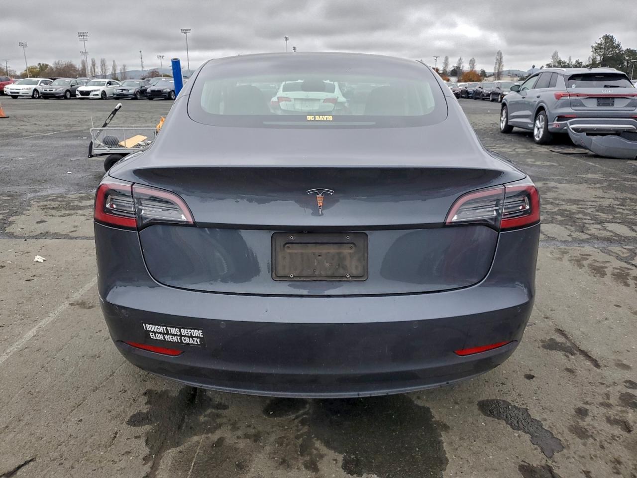 2019 TESLA MODEL 3 photo 11
