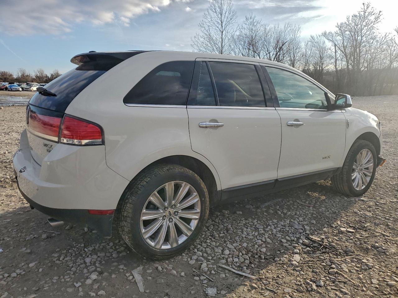 2009 LINCOLN TOWNHOUSE MKX photo 3