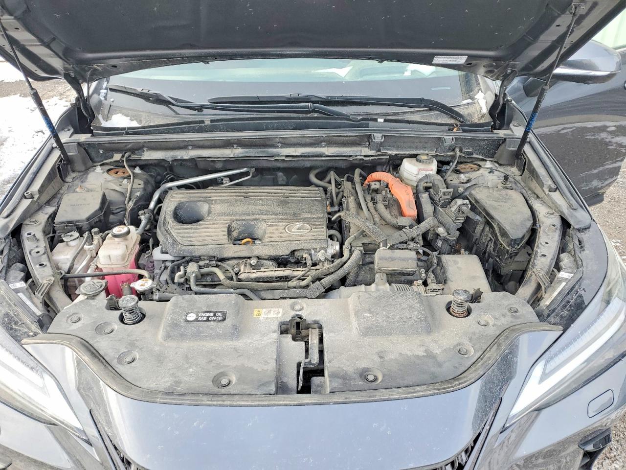 2022 LEXUS NX 350H photo 12