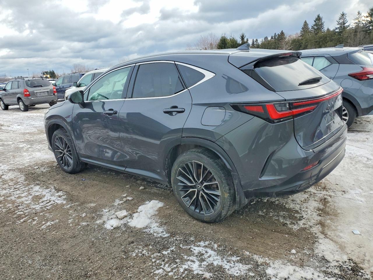 2022 LEXUS NX 350H photo 2