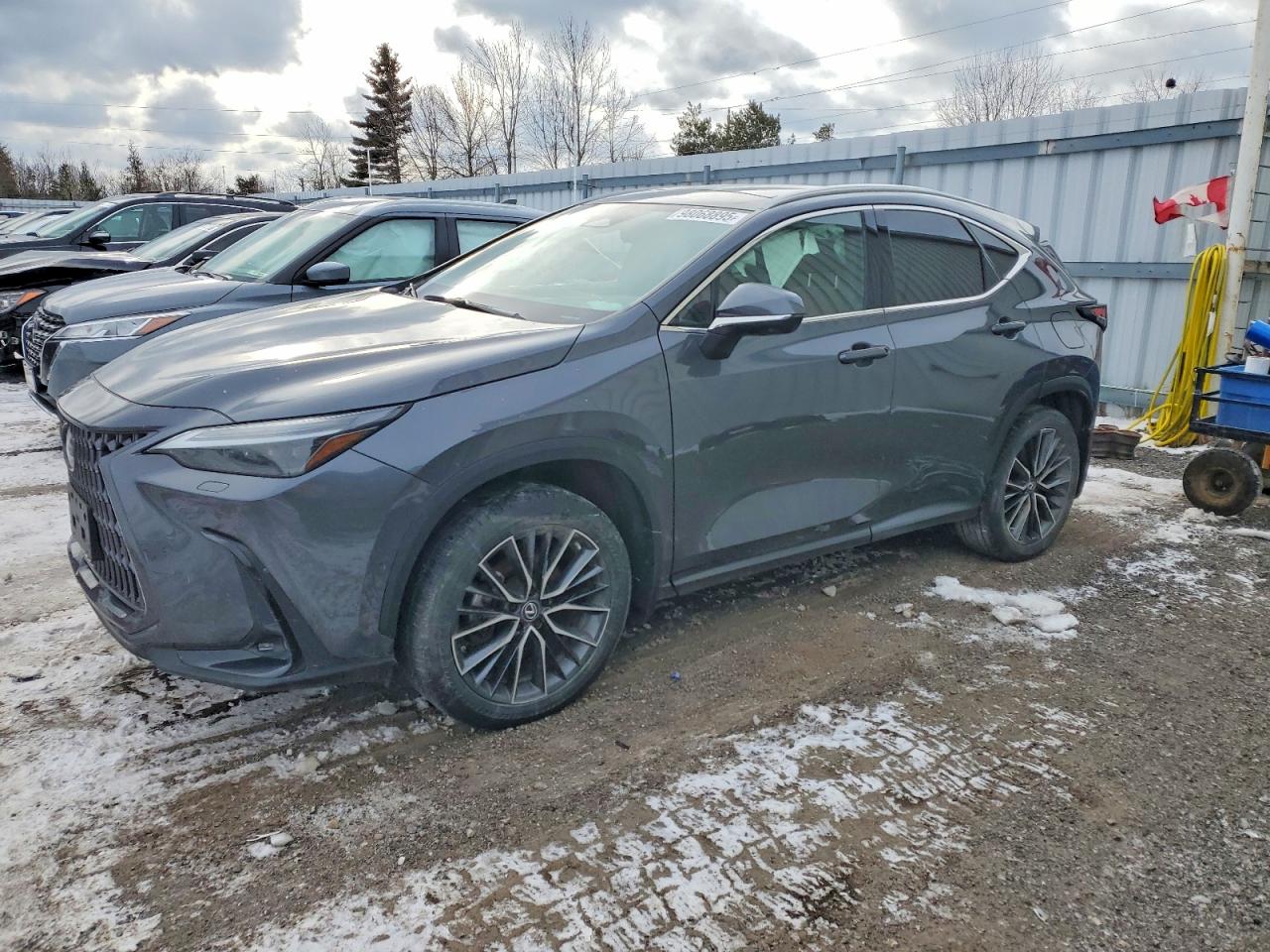2022 LEXUS NX