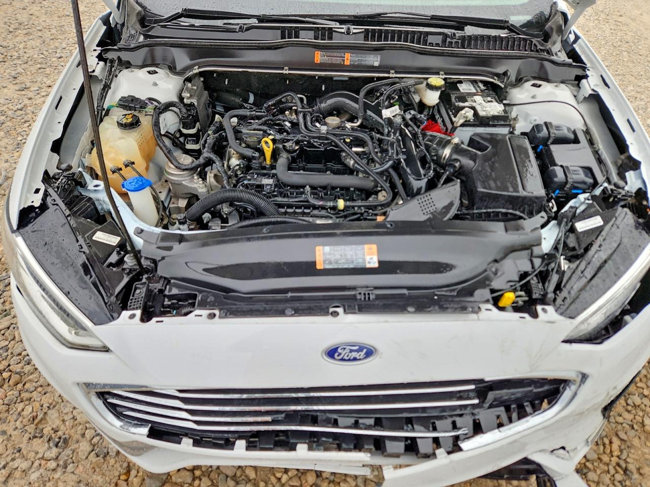 2019 FORD FUSION SEL photo 11