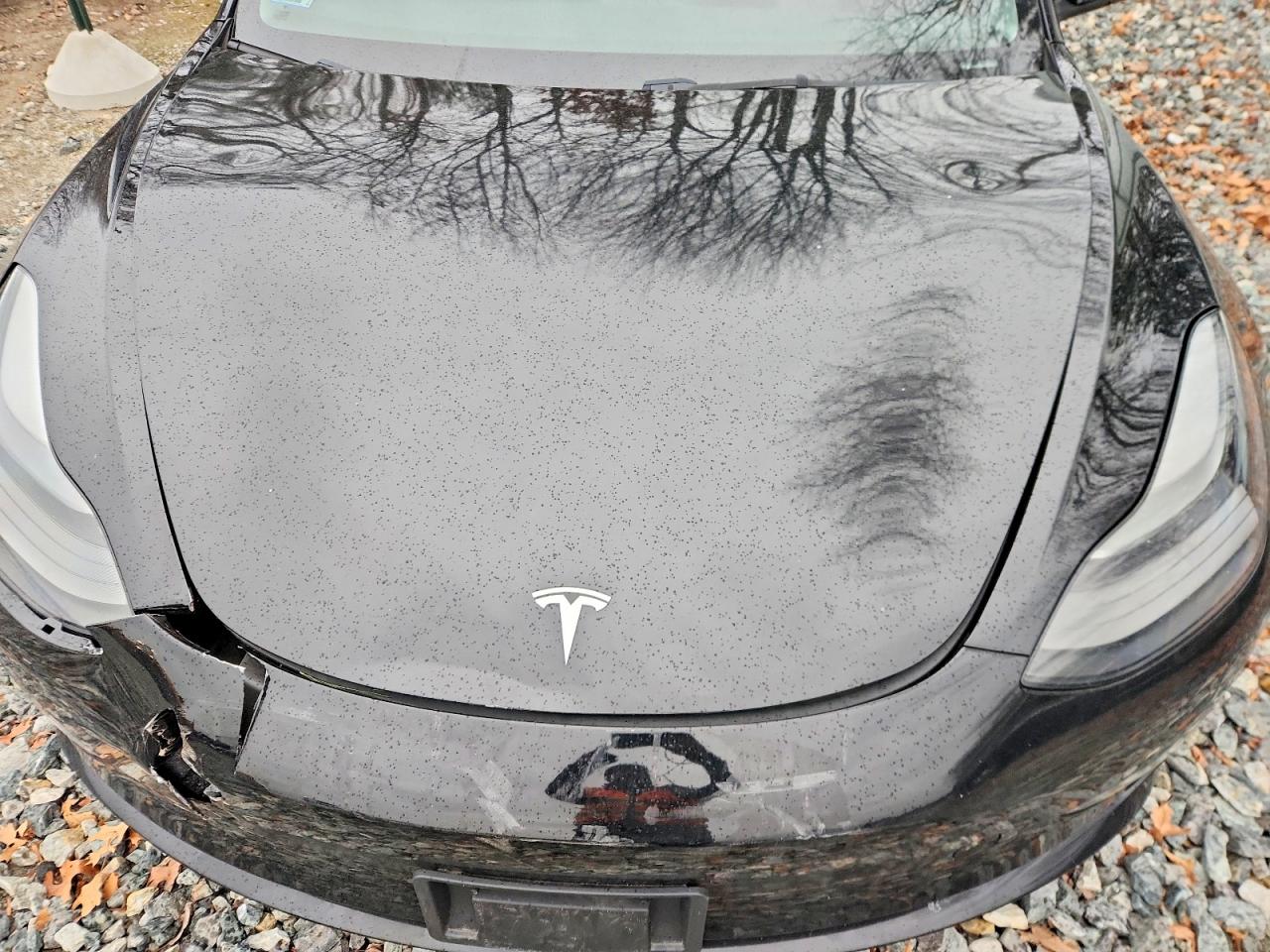 2023 TESLA MODEL 3 photo 11