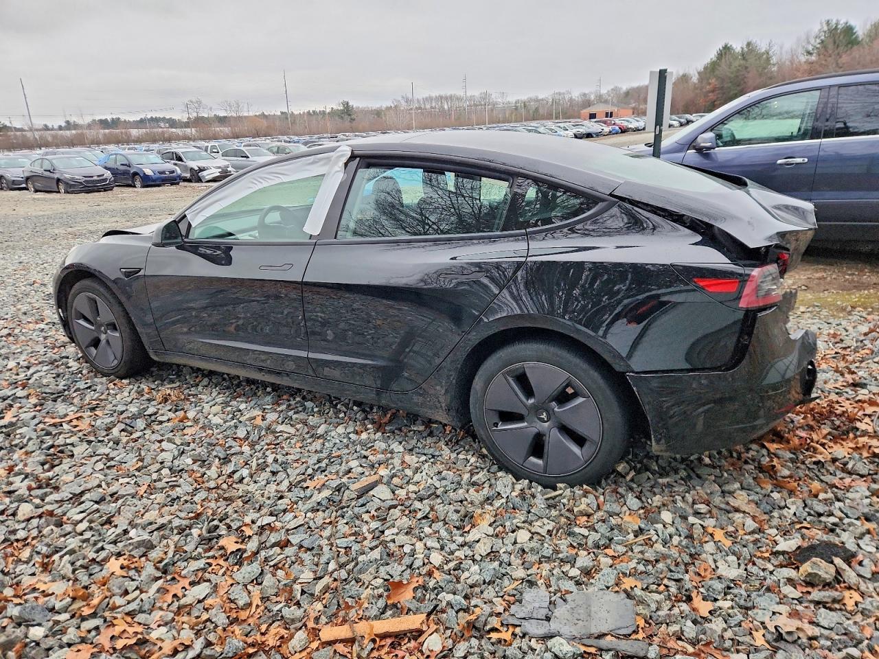 2023 TESLA MODEL 3 photo 2