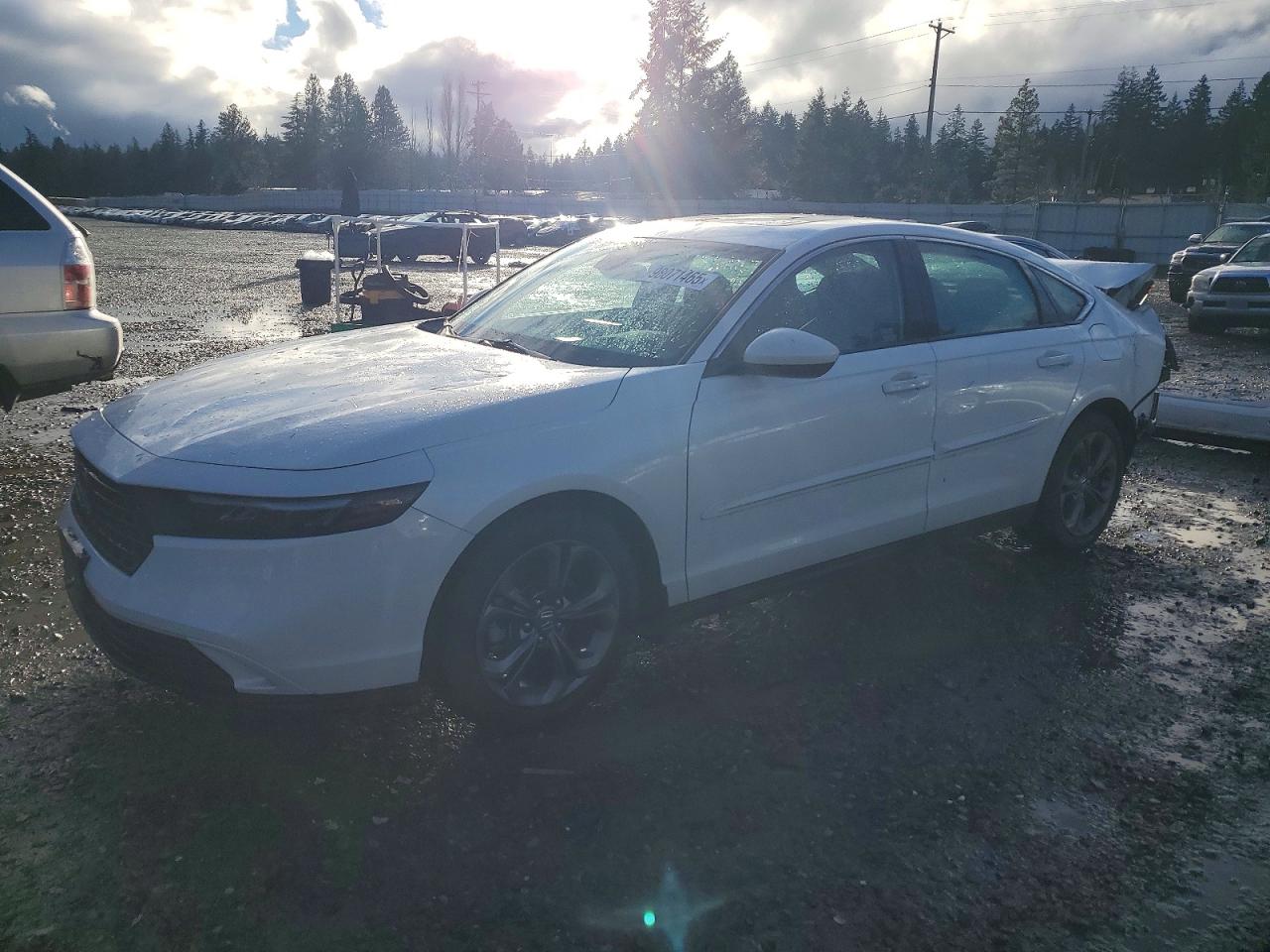2024 HONDA ACCORD