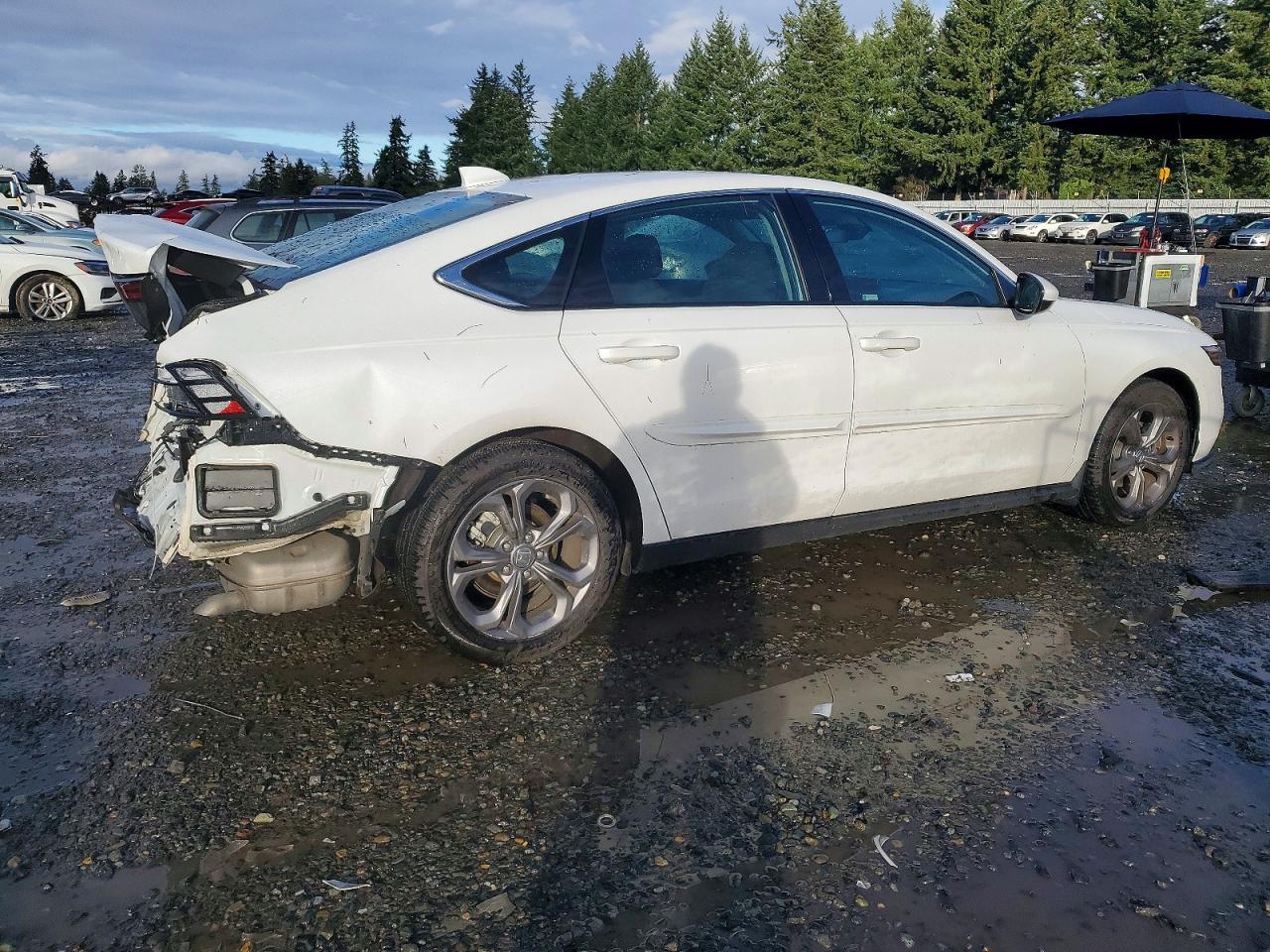 2024 HONDA ACCORD EX photo 3
