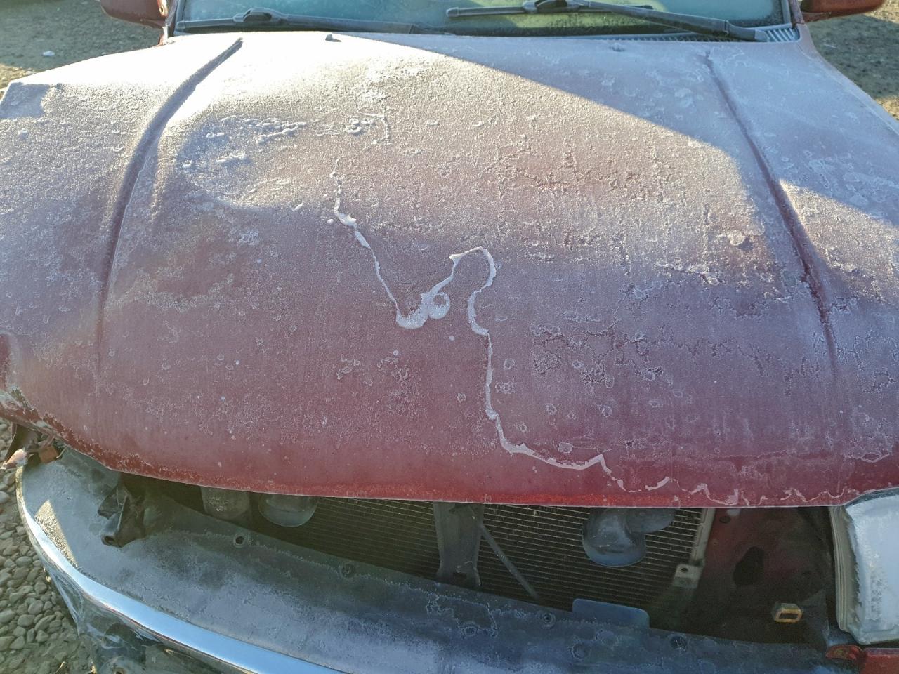 2001 TOYOTA 4RUNNER SR5 photo 11