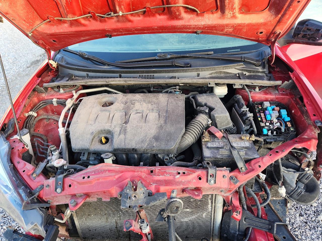 2019 TOYOTA COROLLA L photo 11