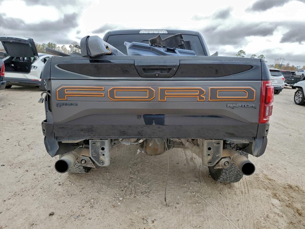 2017 FORD F150 RAPTOR photo 6