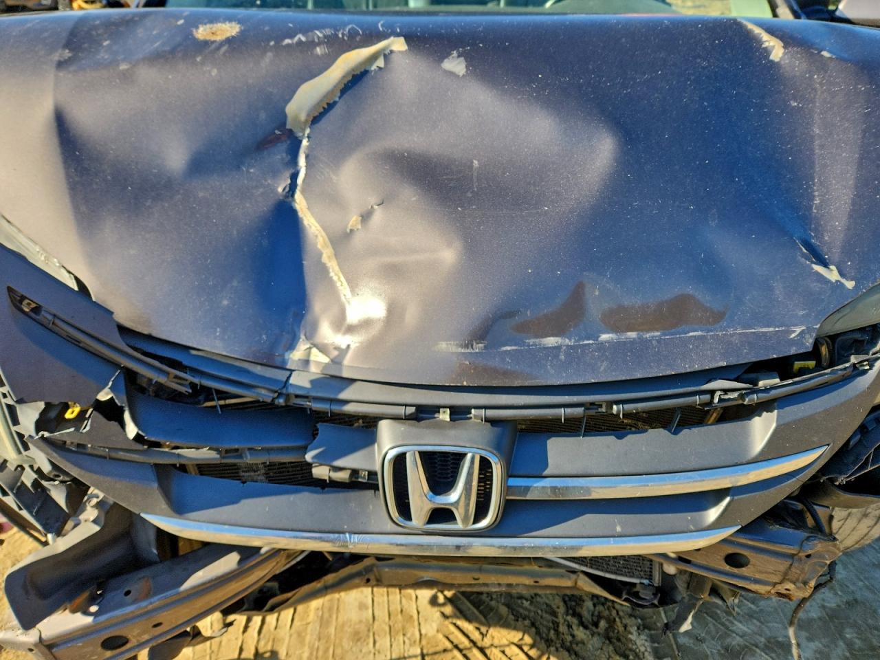 2014 HONDA CR-V EXL photo 12