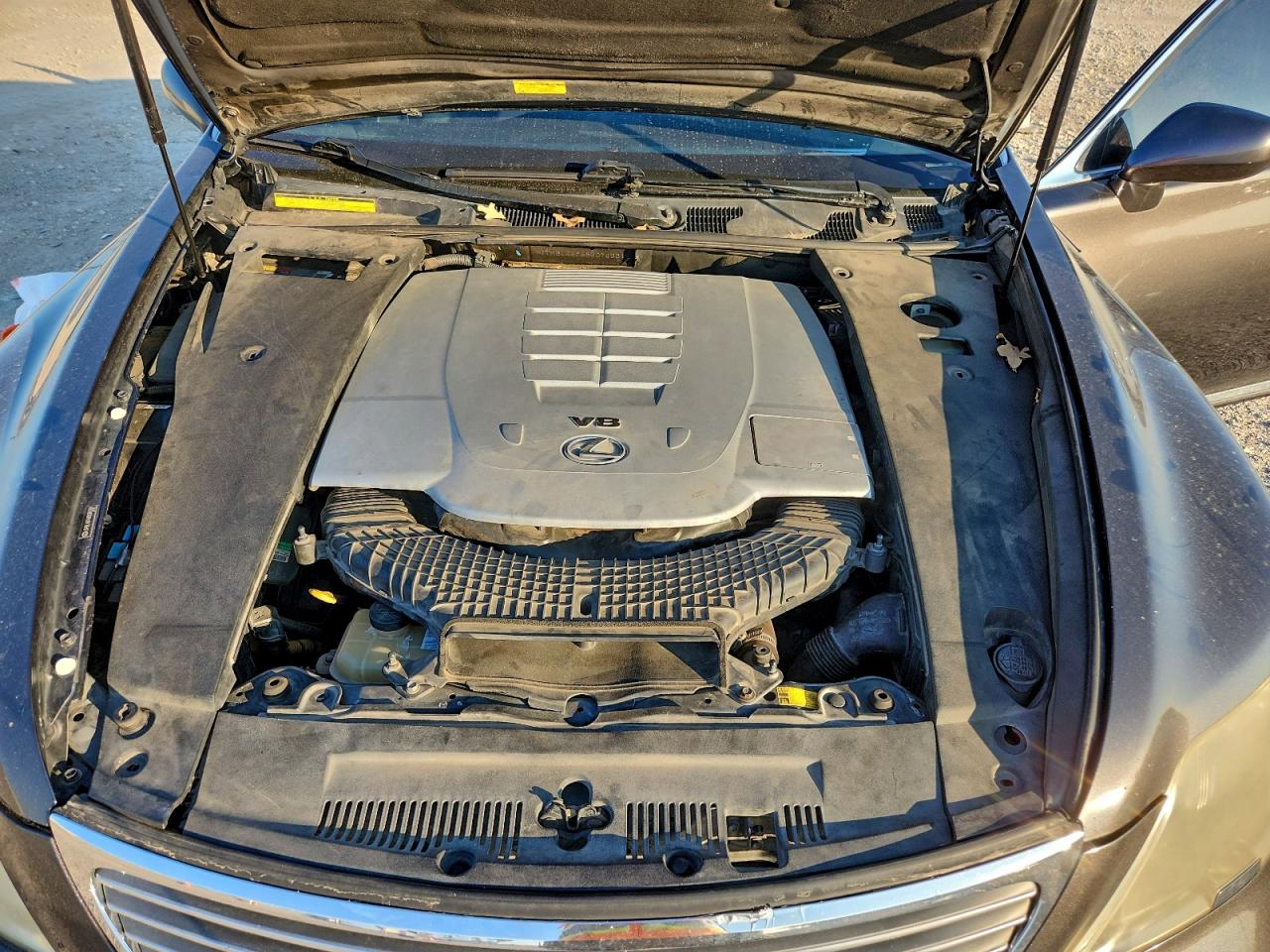 2008 LEXUS LS 460 photo 11