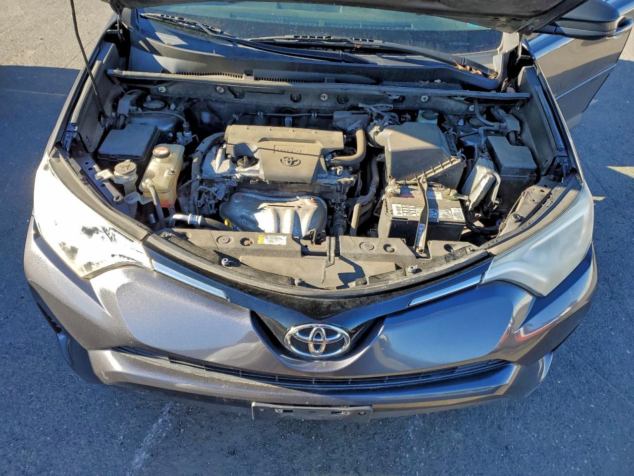 2016 TOYOTA RAV4 LE photo 12