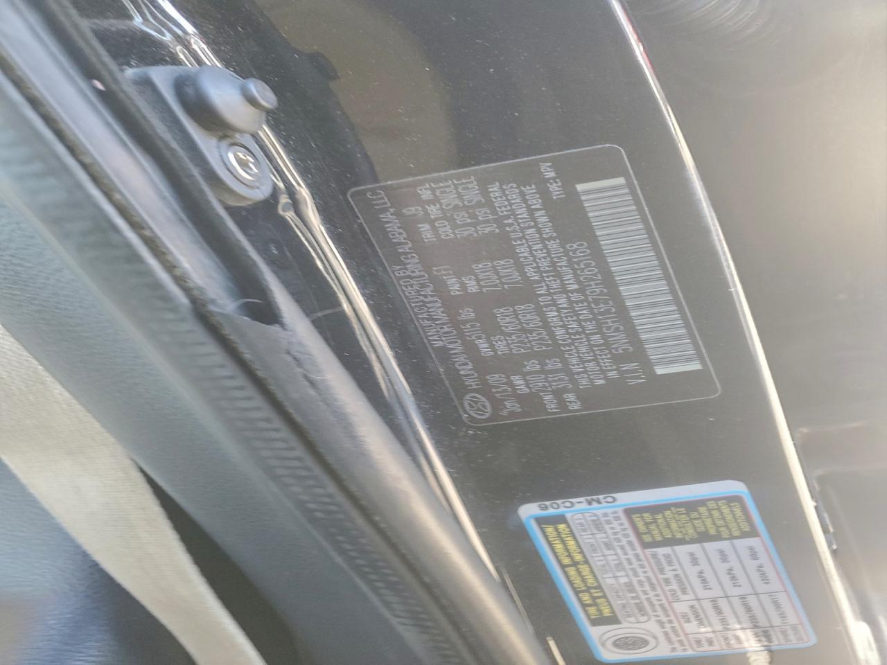 2009 HYUNDAI SANTA FE SE photo 13
