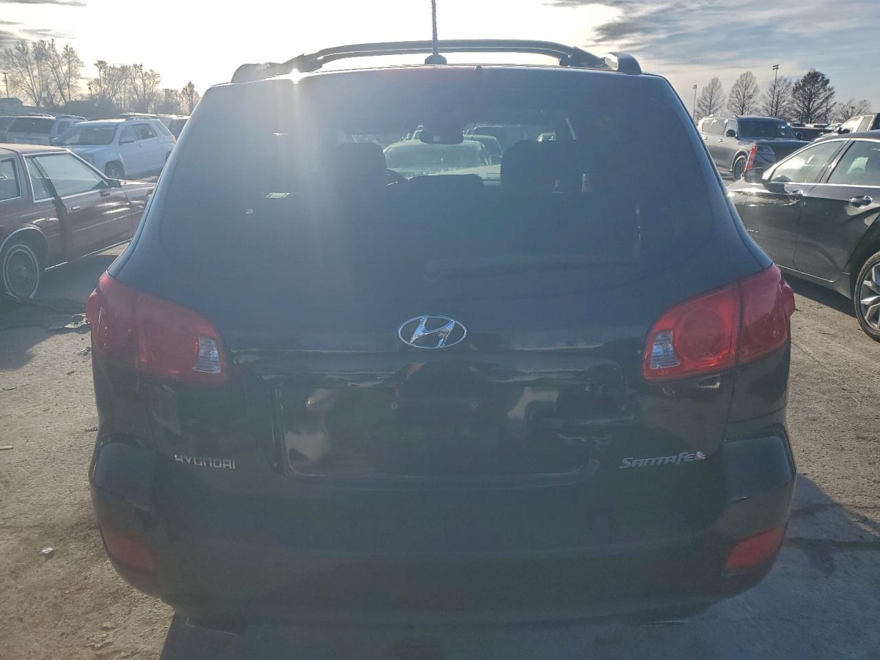 2009 HYUNDAI SANTA FE SE photo 6