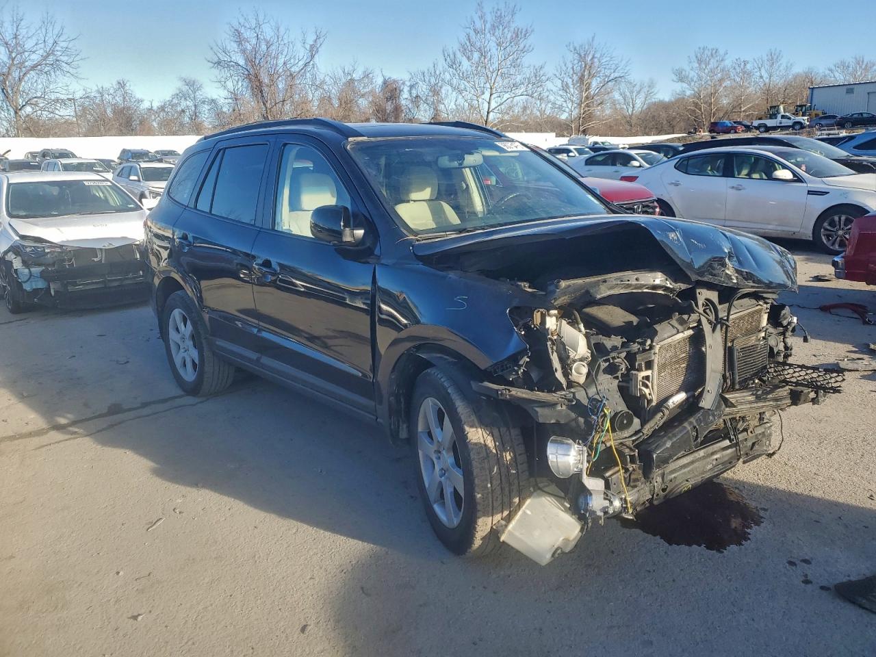 2009 HYUNDAI SANTA FE SE photo 4