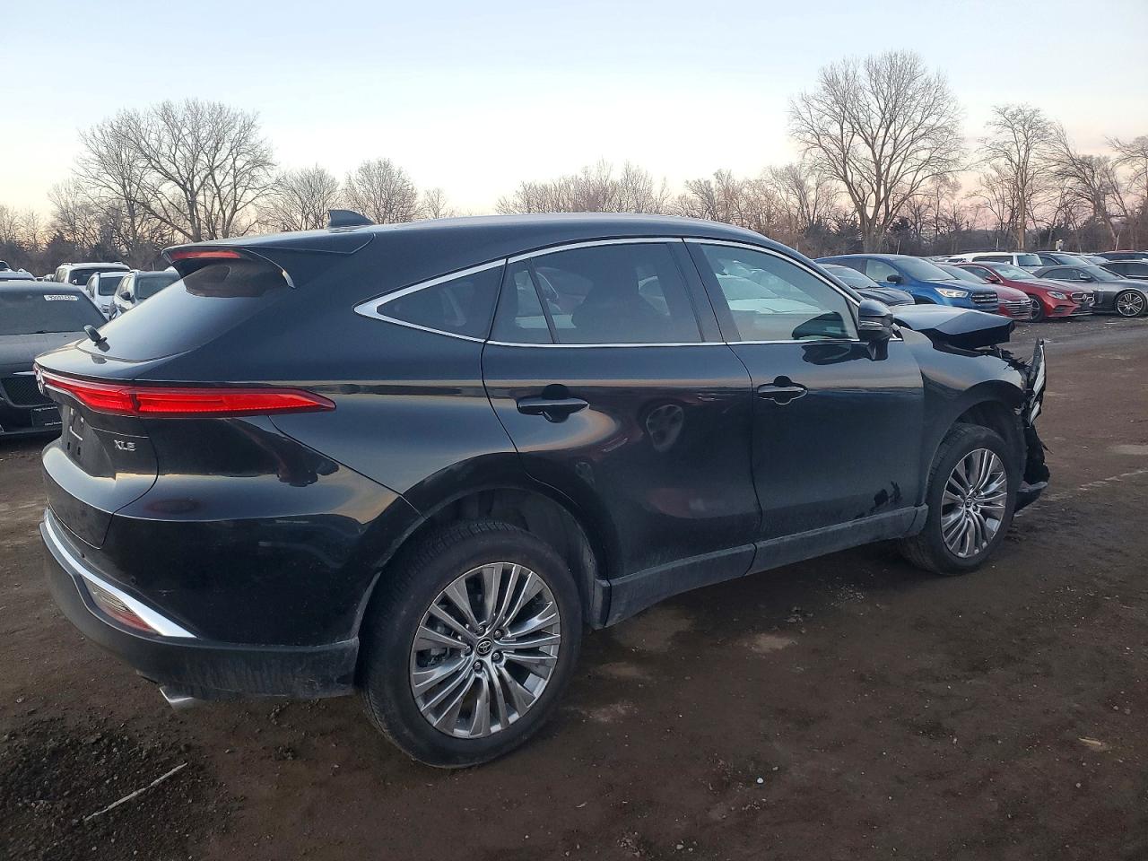 2023 TOYOTA VENZA LE photo 3