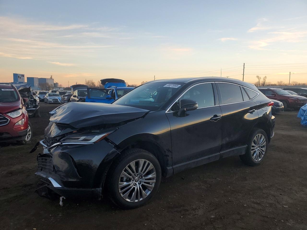 2023 TOYOTA VENZA