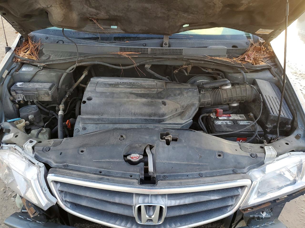2002 HONDA ODYSSEY EXL photo 12