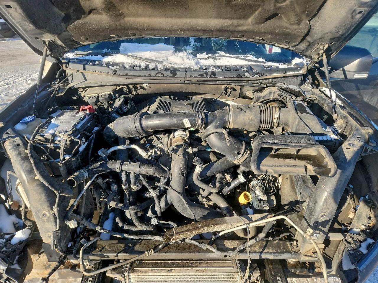 2017 FORD F150 SUPERCREW photo 11