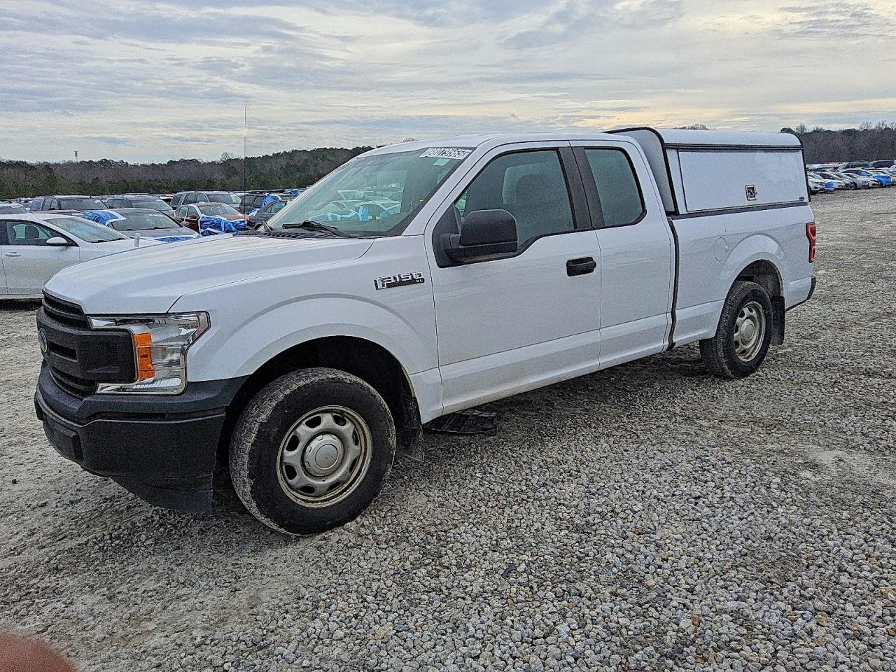 2019 FORD F150