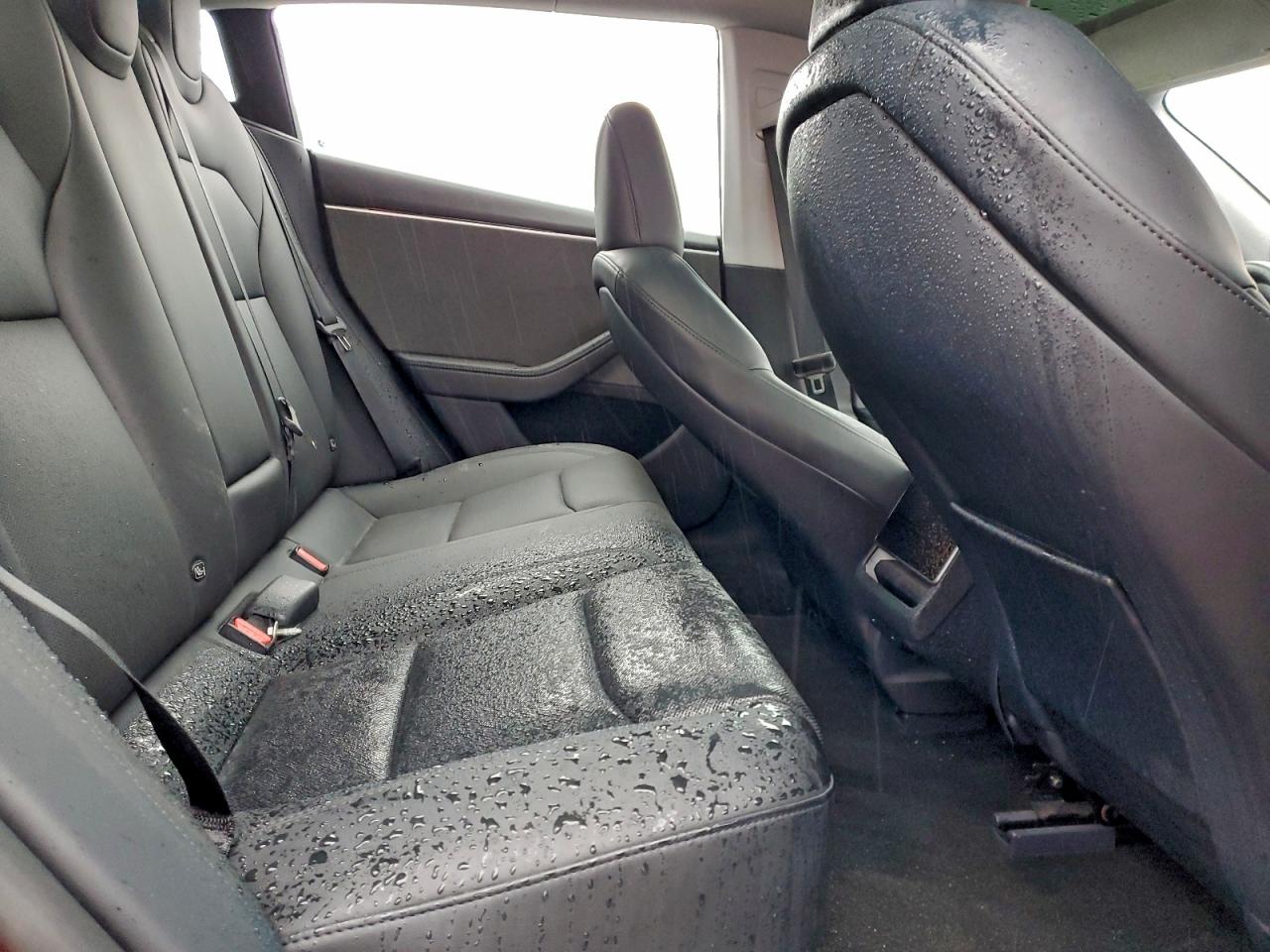 2024 TESLA MODEL 3 photo 10