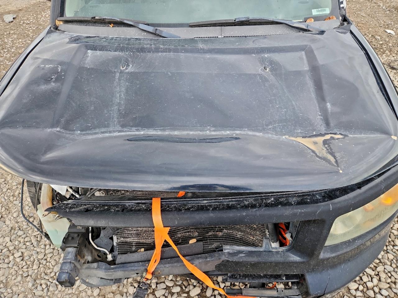 2007 HONDA ELEMENT SC photo 11