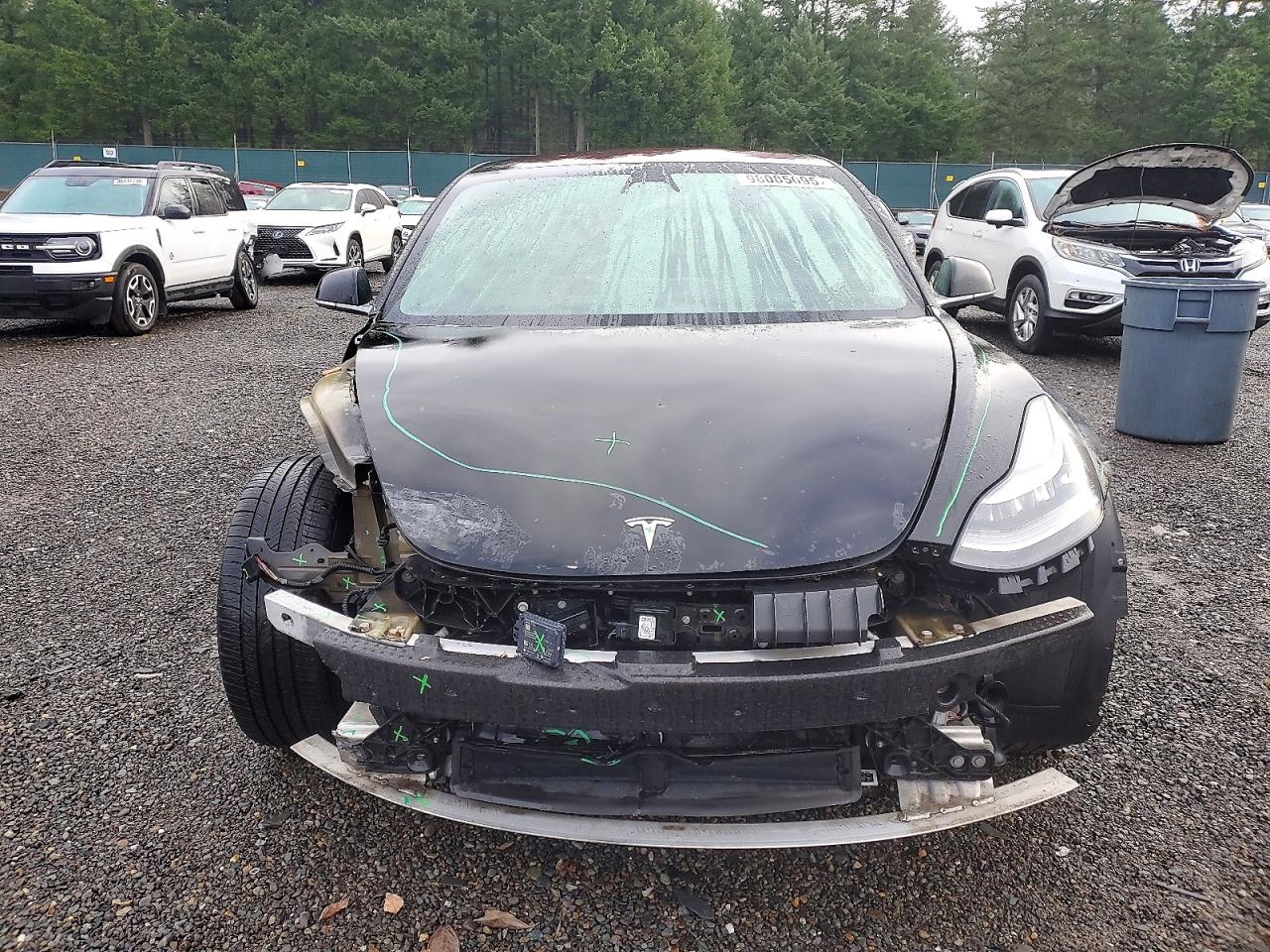 2019 TESLA MODEL 3 photo 5