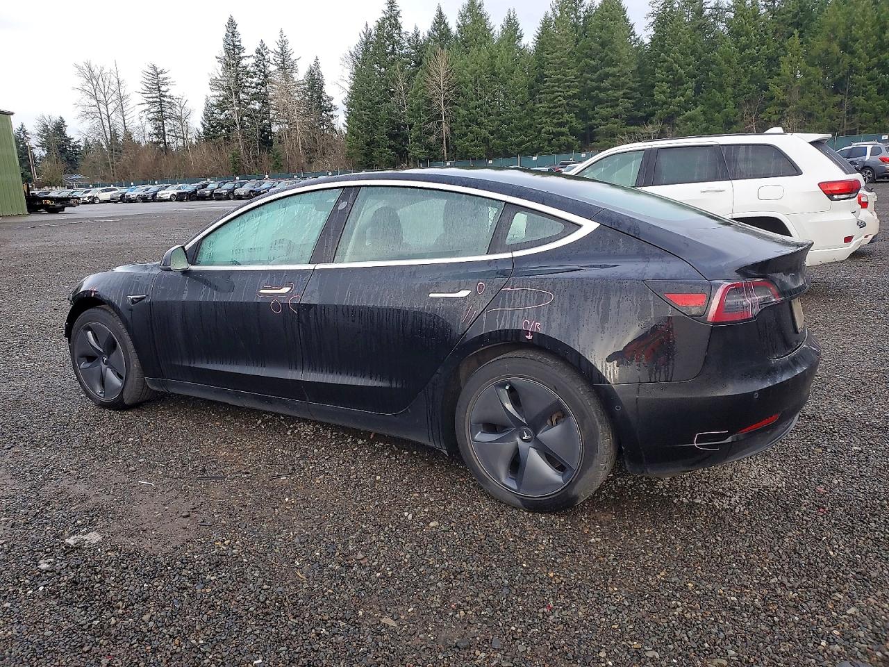 2019 TESLA MODEL 3 photo 2